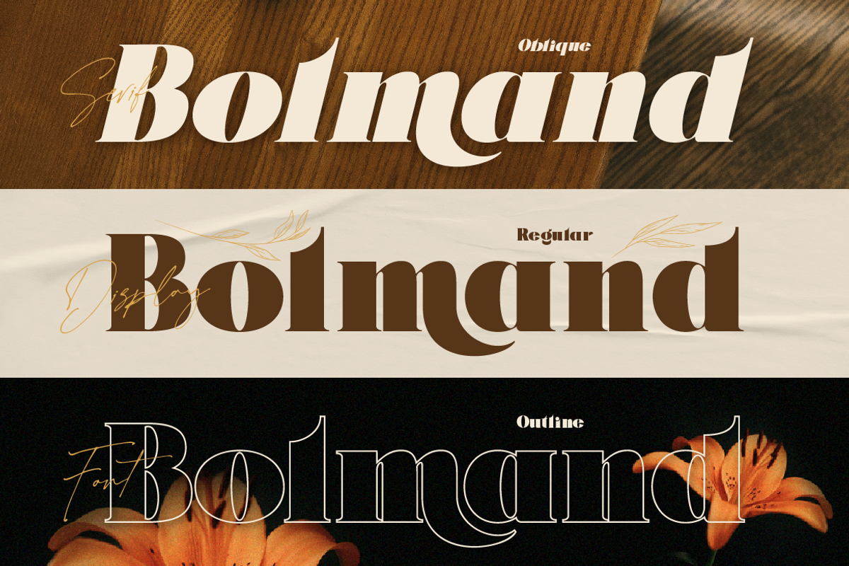 Bolmand Signature, a Serif Font by Burntilldead (Photo 4 of 12)