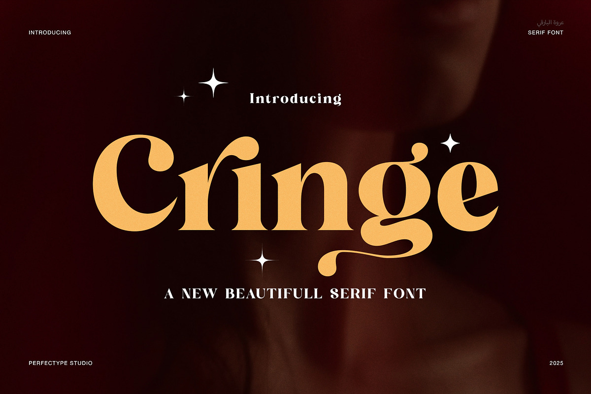 Cringe Elegant Serif Font, a Serif Font by Perfectype (Photo 1 of 8)