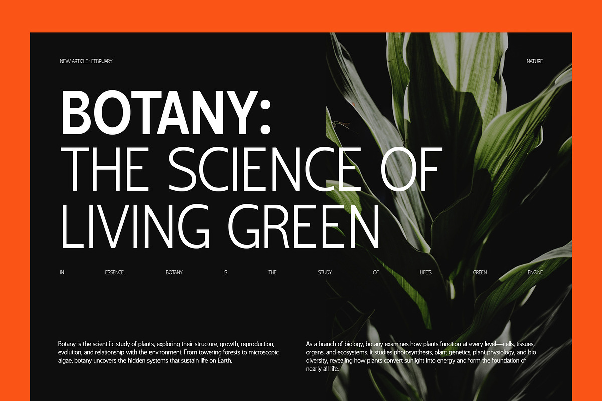 Shansio Sans Serif Font Family, a Sans Serif Font by Graphicxell (Photo 8 of 10)