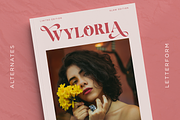 Daphiola - Modern Display Typeface, a Sans Serif Font by Font Liner (Thumbnail 8 of 10)