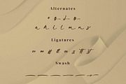 Predikat Oneday, a Script Font by Integritype Studio (Thumbnail 10 of 15)