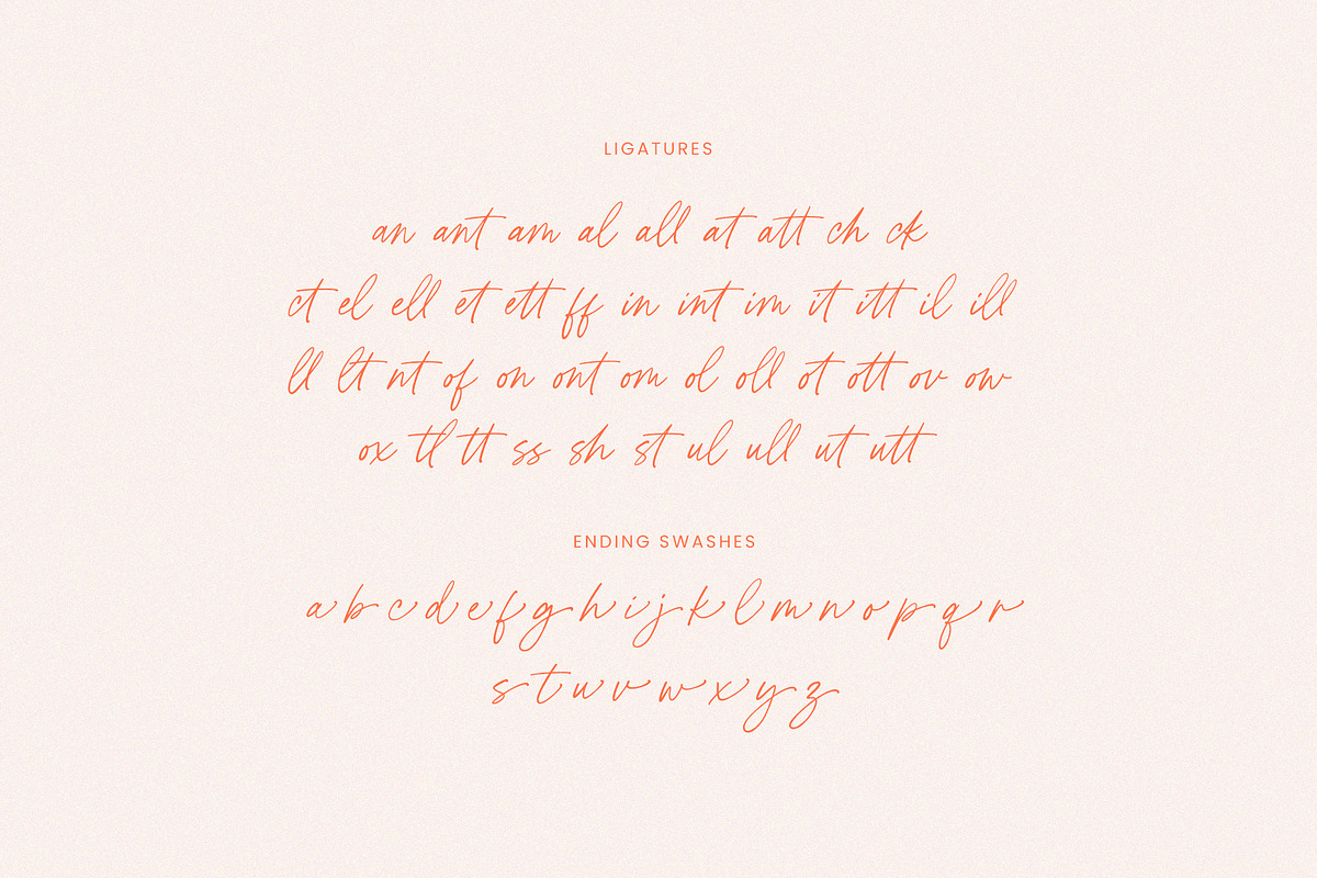 Peach Citrus Handwritten Script, a Script Font by Seagulls Creative (Photo 11 of 11)