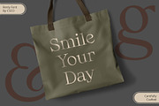 Renly – Elegant Serif, a Serif Font by Craft Supply Co. (Thumbnail 3 of 8)