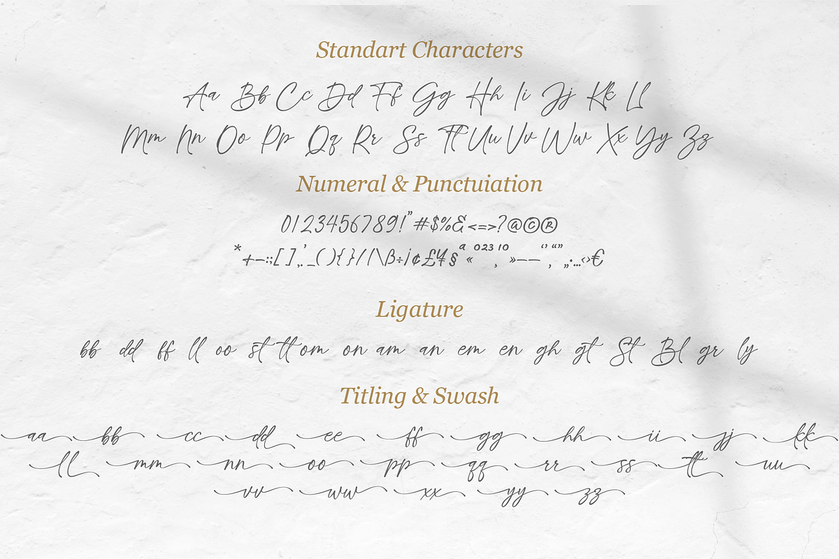Whole - A Perfect Handwritten Script, a Script Font by MJB Letters (Photo 11 of 11)