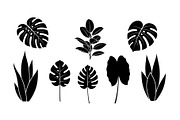 Minimal Botanical Leaf Silhouette Bu, an Illustration by Creativeshirt (Thumbnail 50 of 51)