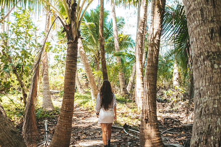Girl walking in palmtree paradise, a Nature Photo by Holauna Creative