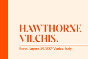 Sandega, a Sans Serif Font by Locomotype (Thumbnail 4 of 11)
