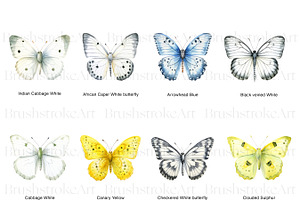 White Butterflies Clipart, Butterfly