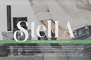 Mylierka - Serif Font (11 Fonts), a Serif Font by Maculinc Type (Thumbnail 12 of 15)