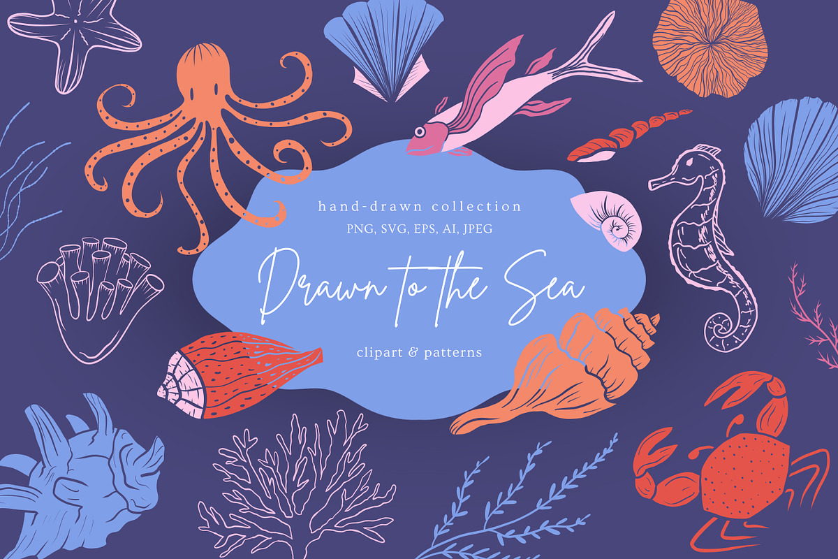 Hand-Drawn Marine Clipart & Patterns, a Decorative Illustration by CapriceMeDesigns (Photo 1 of 21)