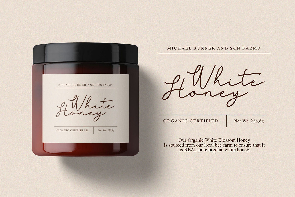 Sentinel Font, a Script Font by Haws.std (Photo 4 of 5)