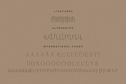 Gestiva Elegant Modern Serif, a Serif Font by Storytype Studio (Thumbnail 14 of 15)