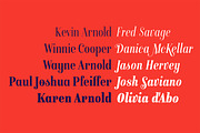 Isabel condensed, a Serif Font by Letritas (Thumbnail 12 of 15)