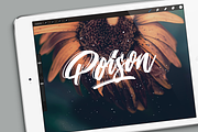 The huge Procreate cities brushpack, a Brush Add-On by Studio FabianFischer (Thumbnail 7 of 8)