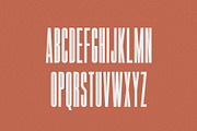 Sucre | Vintage Condensed Sans, a Sans Serif Font by Jen Wagner Co (Thumbnail 7 of 8)