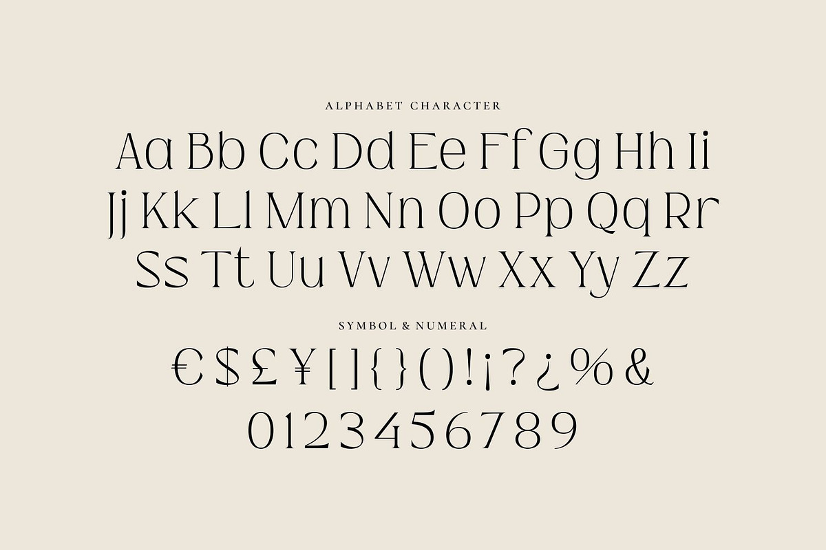 Hiden Certon - Aesthetic Serif Font, a Serif Font by Fype Co. (Photo 5 of 5)