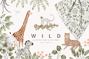 WILD illustrations&patterns, an Animal Illustration by erasovas (Thumbnail 1 of 10)