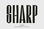 Thorn: A Contemporary Condensed Font, a Sans Serif Font by DeliFreshTypeCo. (Thumbnail 4 of 4)