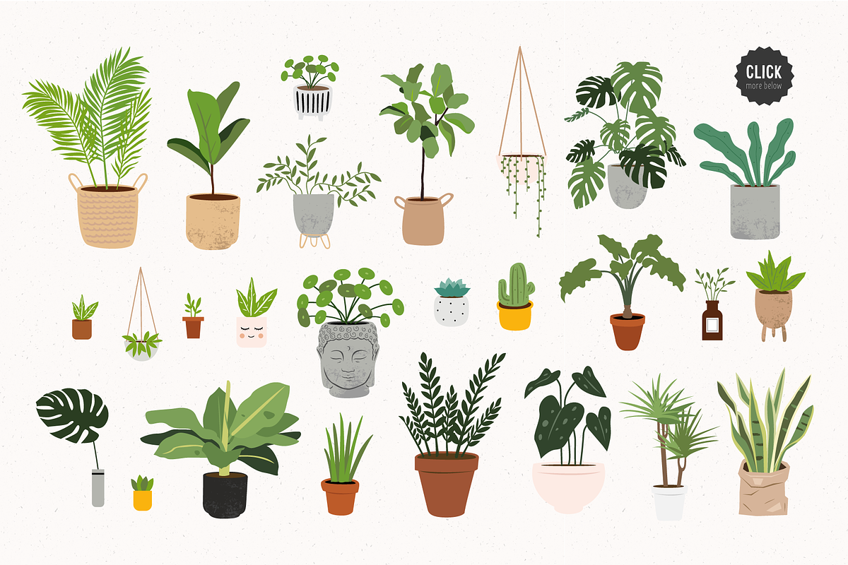 House plants | Urban jungle, a Decorative Illustration by AngelinaKovel (Photo 2 of 10)
