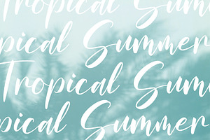 Salmanda - A Handwritten Script Font