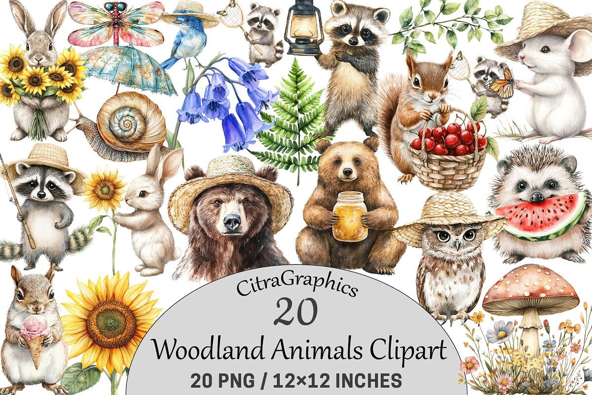 Watercolor Woodland Animals Clipart, an Illustration by CitraGraphics (Photo 1 of 5)