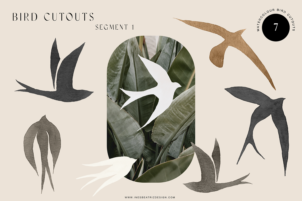 Matisse - Neutral Watercolor Art Set, an Illustration by Ines Beatriz (Photo 3 of 9)
