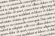 Zelvian - Modern Serif Font, a Serif Font by Rishsketch (Thumbnail 9 of 15)