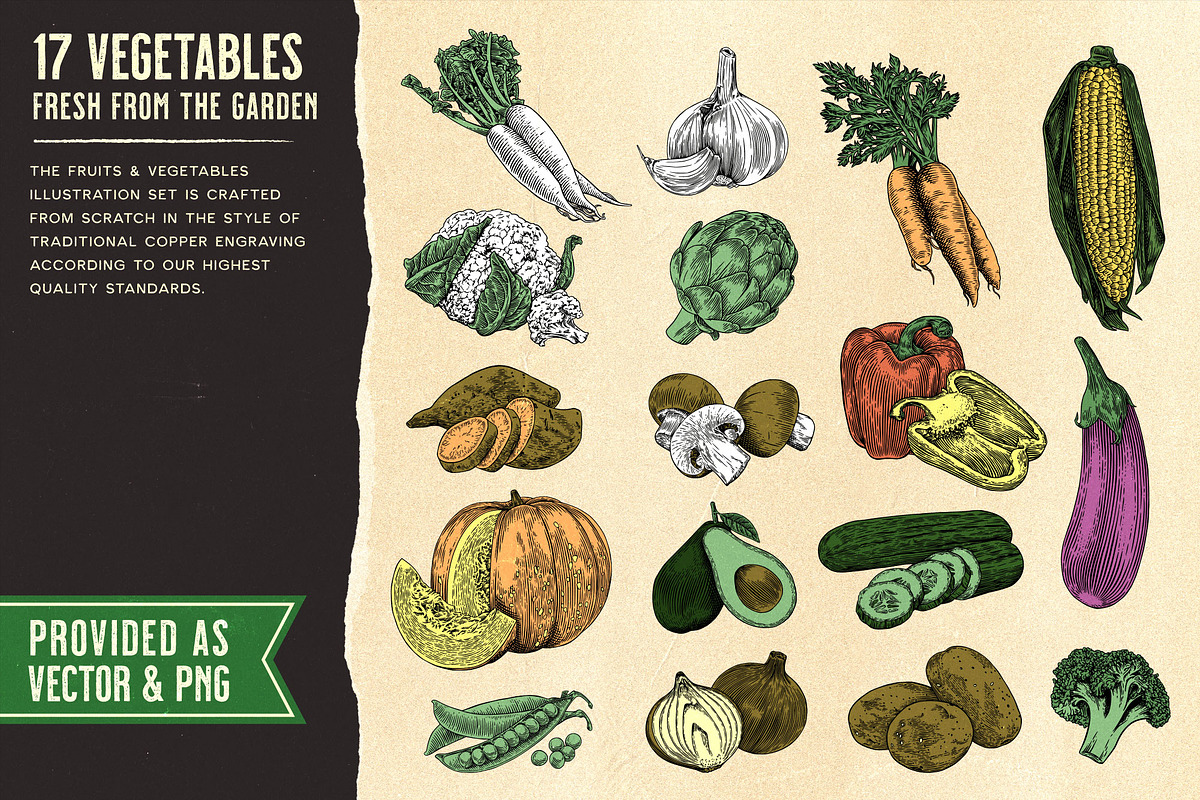 Fruits and Vegetables Illustrations, an Illustration by Heritage Type Co. (Photo 2 of 8)
