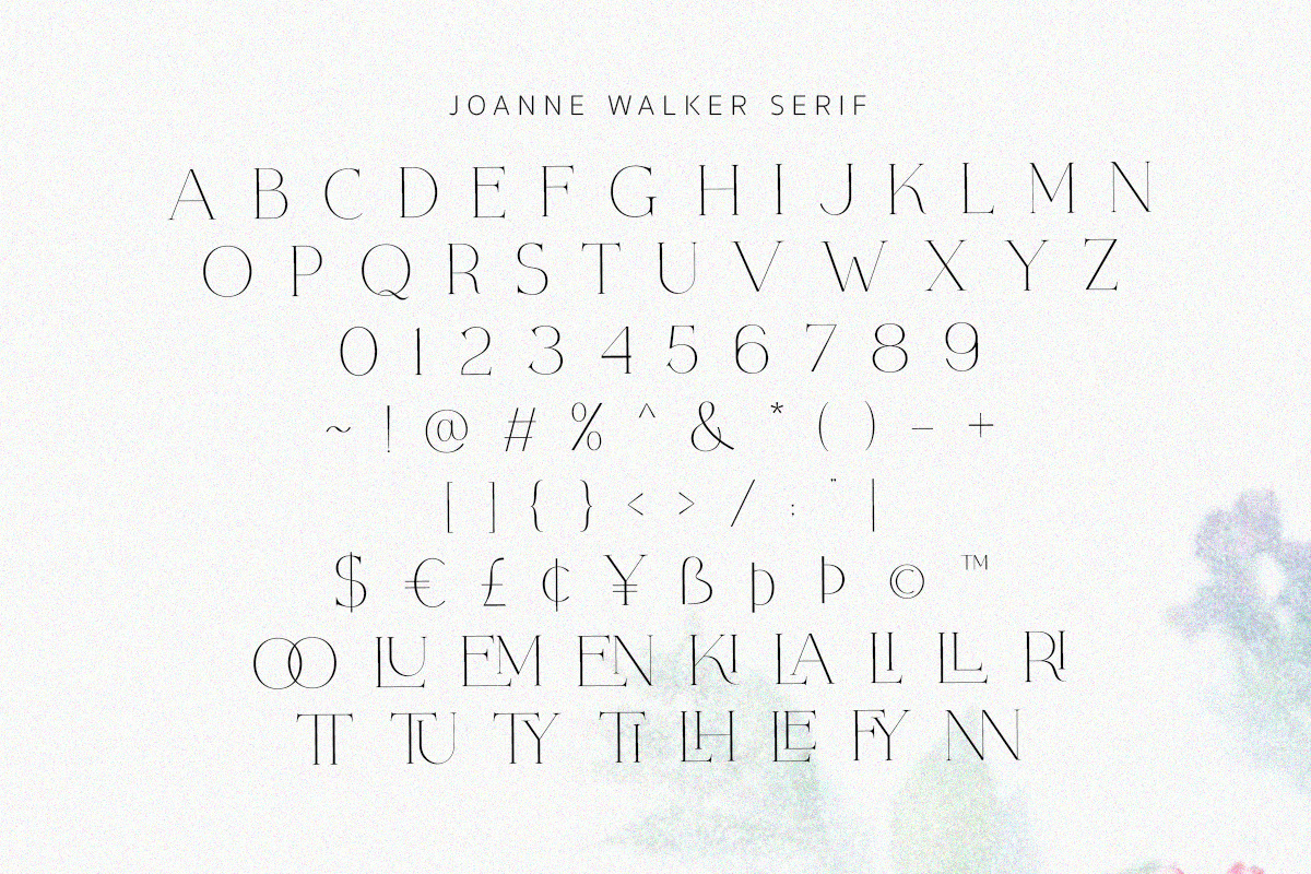 Joanne Smith - Elegant Font Duo, a Serif Font by Bale Type (Photo 9 of 10)