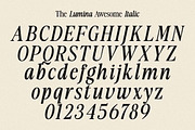 The Lumina Awesome, a Serif Font by Zane Studio (Thumbnail 12 of 12)