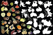 Vector illustration of fruits, an Illustration by risovanya (Thumbnail 5 of 5)