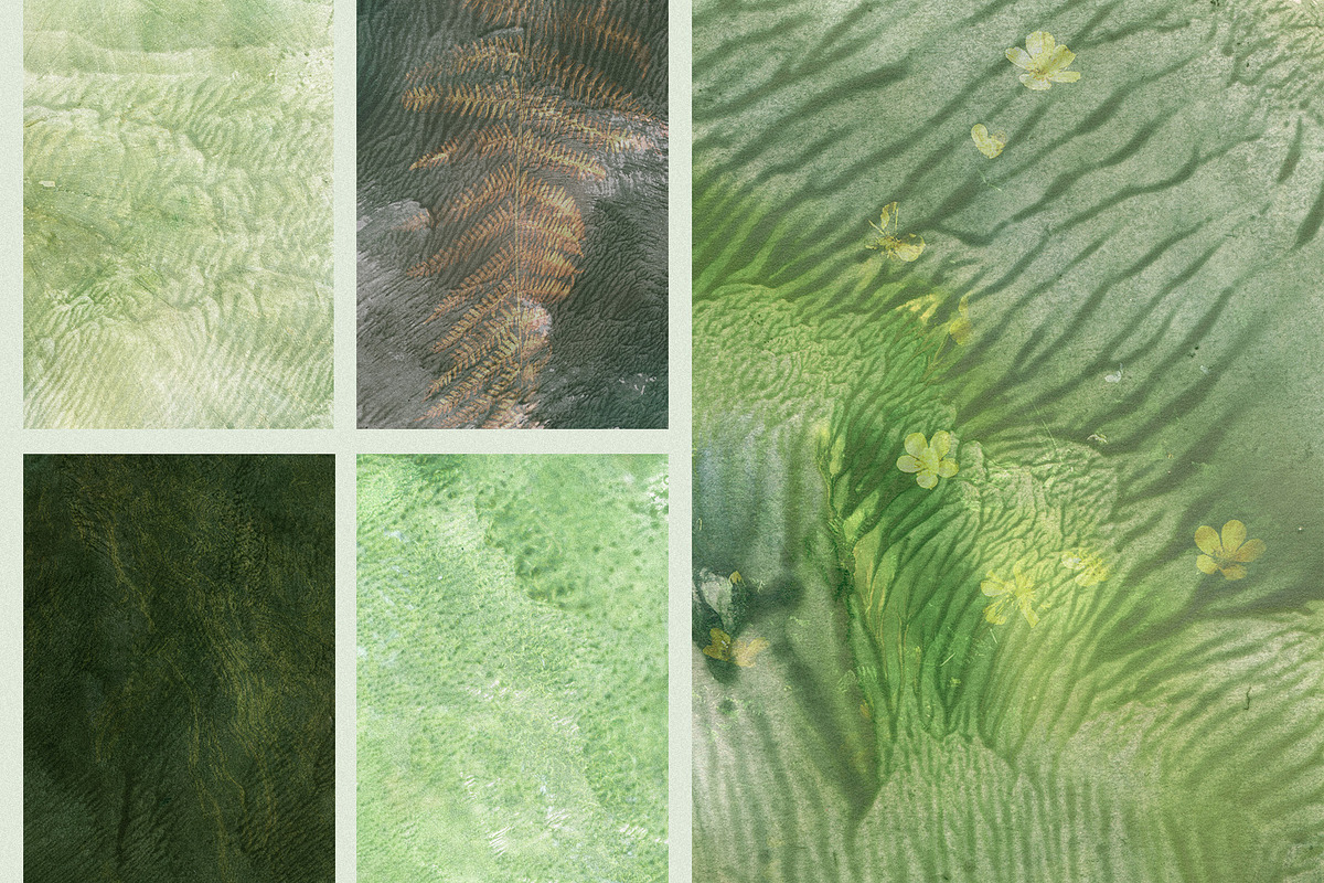 Organic Macro Botanical Textures, a Texture Graphic by Elena Pimonova (Photo 10 of 13)