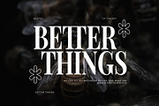 Rosean Elegant Serif Font Typeface, a Serif Font by Graphicxell (Thumbnail 2 of 10)