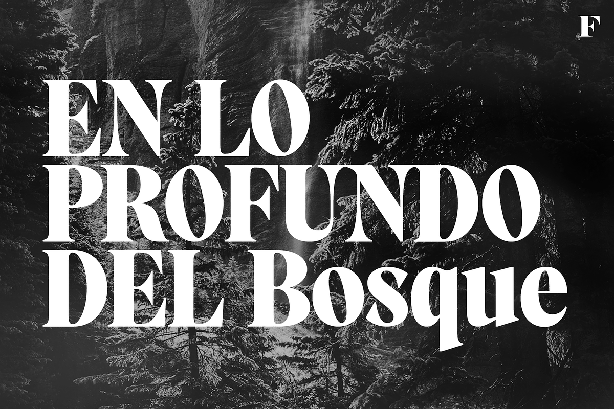 Alto Adige Serif Typeface, a Serif Font by Fenotype (Photo 3 of 14)