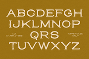 SFC Noble King, a Serif Font by Skilline Supply Co. (Thumbnail 3 of 8)