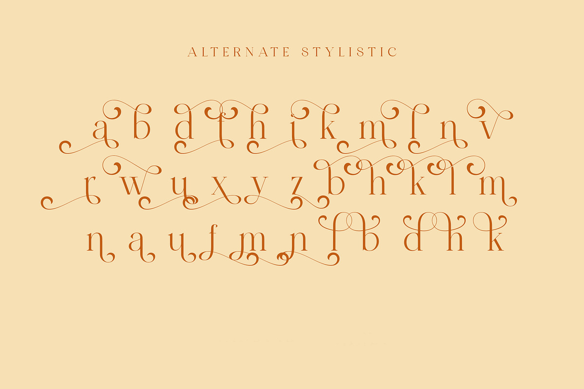 Wondershine, a Serif Font by INKSUN™ (Photo 10 of 14)