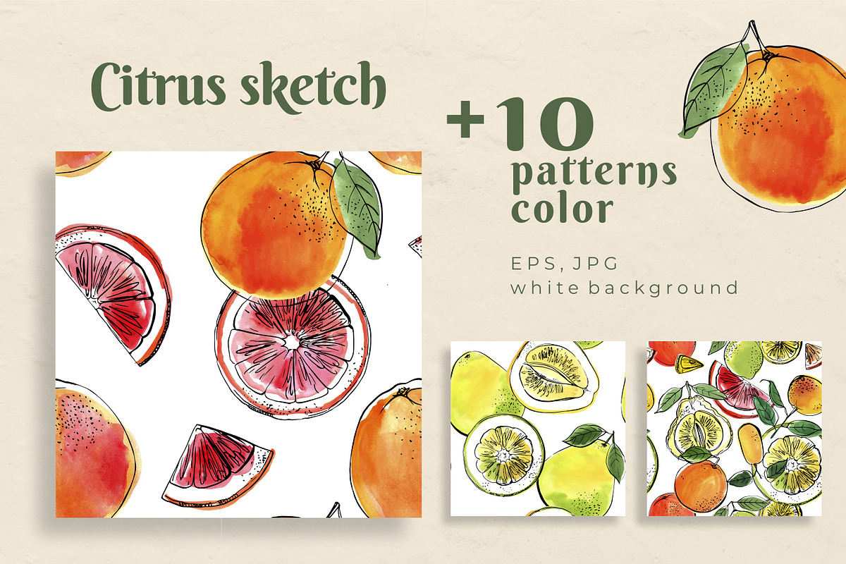 Citrus sketch. Oranges and lemons, a Food Illustration by irina.vaneeva (Photo 6 of 11)