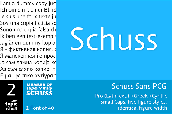 SchussSansPCG No.02 (1 Font) preview 7