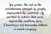 Designer Signature | Script Font, a Handwritten Font by Scratchones (Thumbnail 6 of 8)