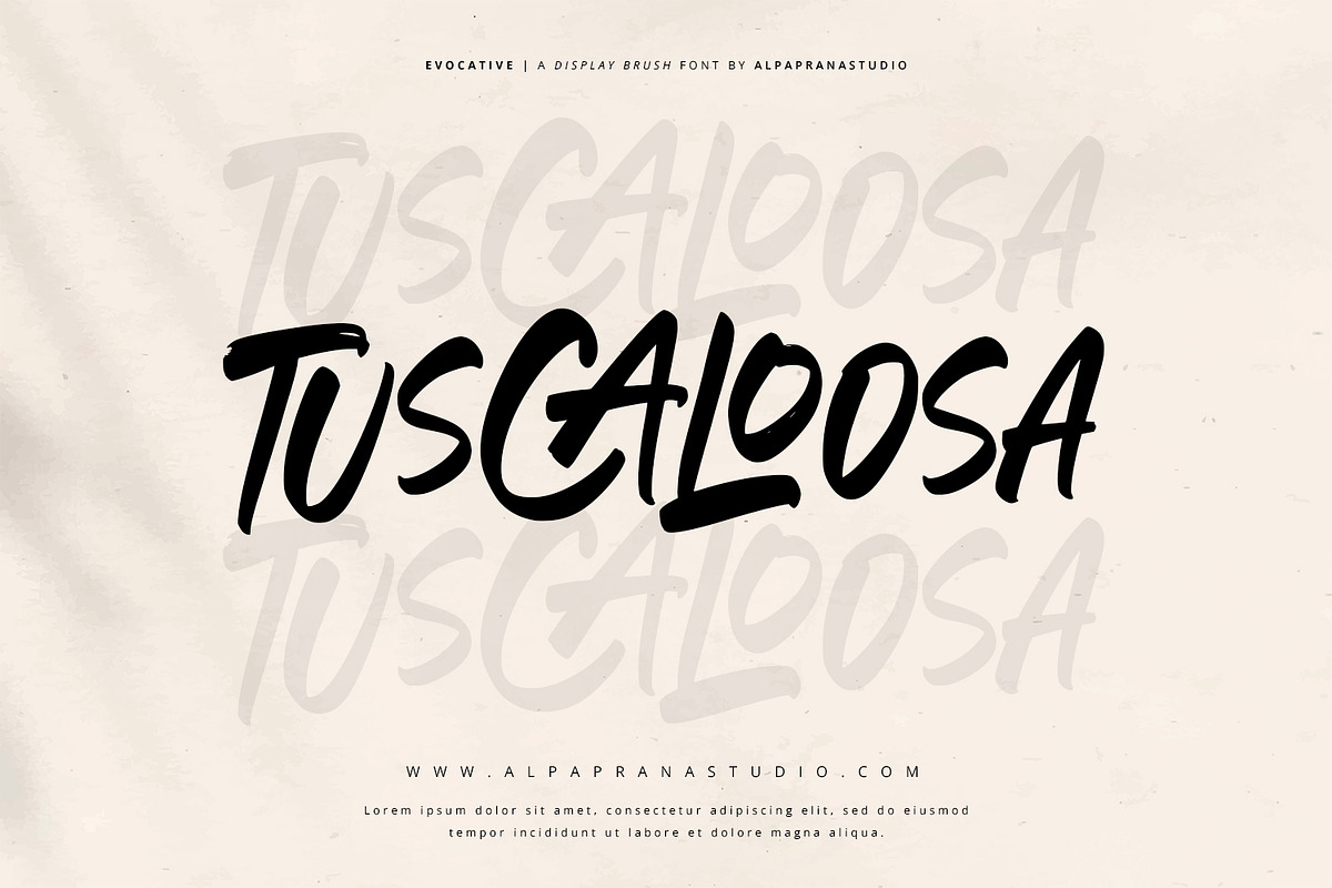 Evocative - Brush Font, a Script Font by Alpaprana (Photo 3 of 13)