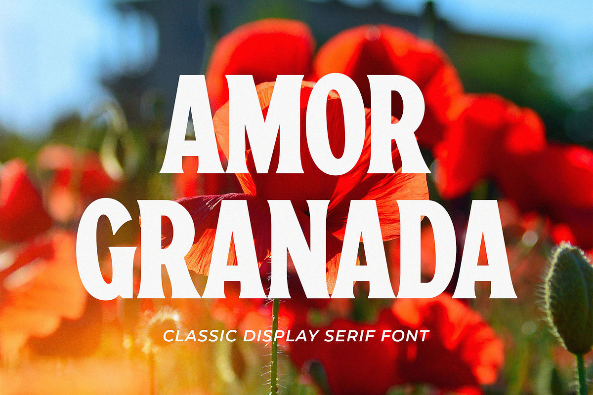 Amor Granada - Classic Display Serif, a Serif Font by Typeformers (Photo 1 of 5)