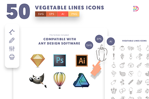 50 Vegetable Lines Icons