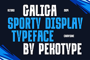 Galiga - Sans Serif Sport Typeface, a Sans Serif Font by Pekotype (Thumbnail 2 of 11)