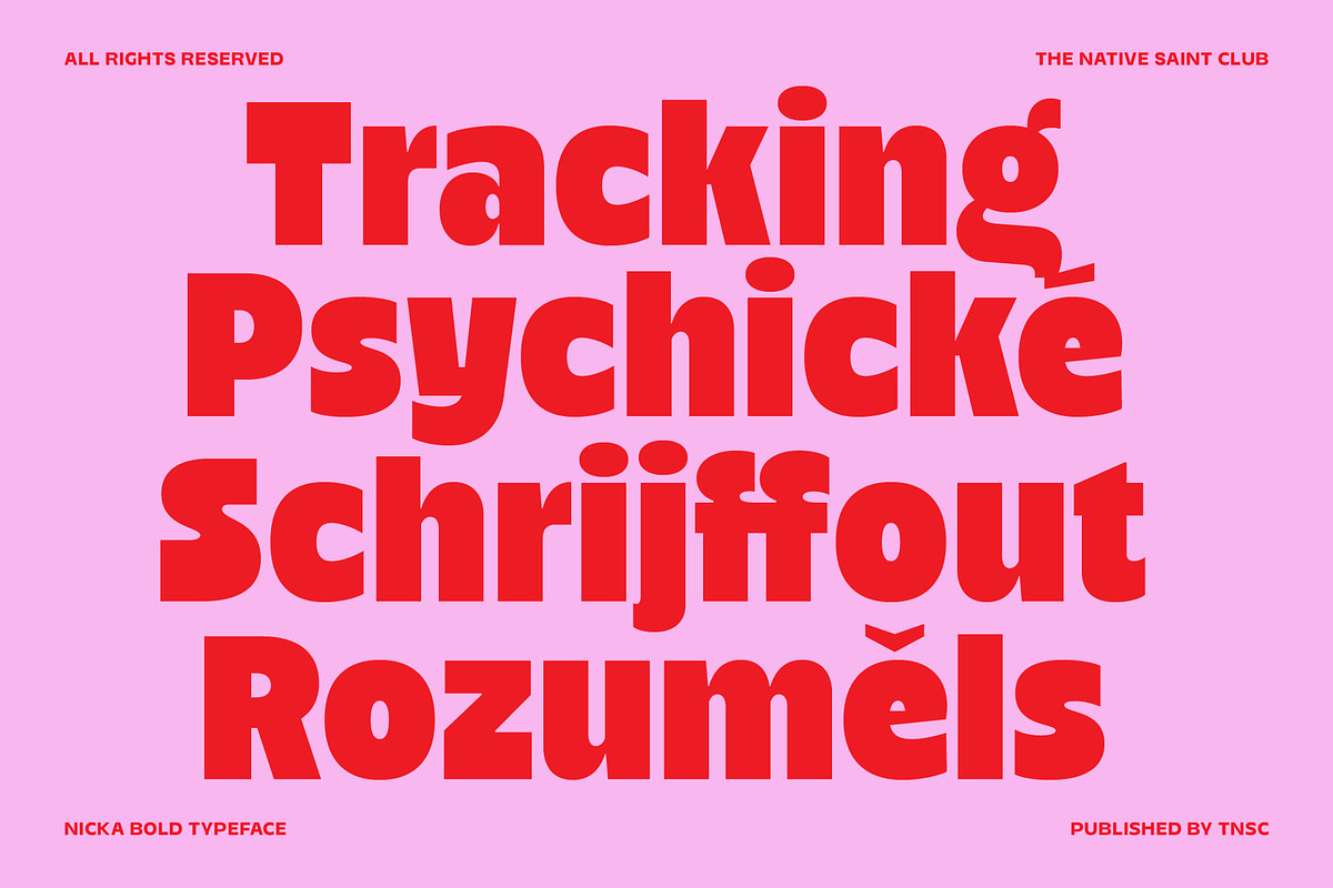 Nicka - Bold Display Sans, a Sans Serif Font by The Native Saint Club (Photo 8 of 16)