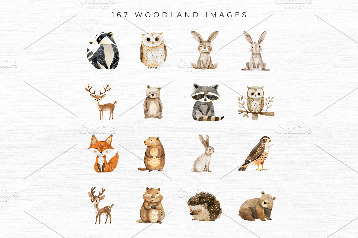 Woodland Animal Clipart, an Animal Illustration by EllyandLima (Photo 2 of 10)