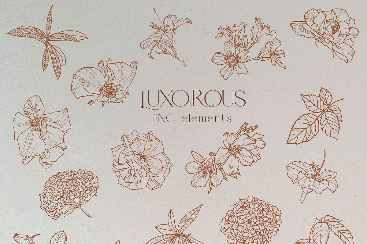 Line Floral Clipart Vector Flowers, an Illustration by whiteheartdesign (Photo 5 of 12)