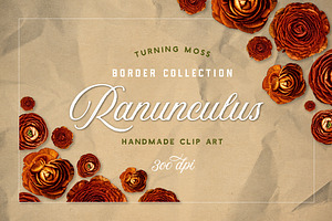 Ranunculus Borders & Autumn ClipArt