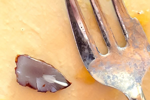 Spoon shape inside a persimmon seed, a Food & Drink Photo by KYNA STUDIO