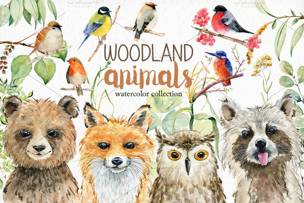 70% off. Bundle. Woodland animals., an Animal Illustration by TaPilipa (Photo 12 of 38)