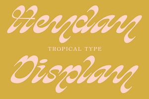HEYDAY DISPLAY FONT, a Script Font by Tropical Type